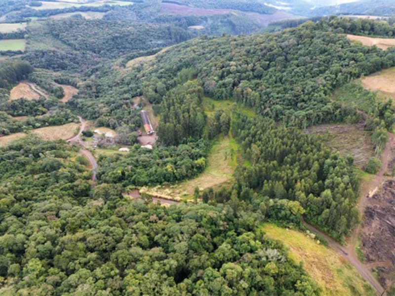 Foto 18 de 26: Terreno em leilão em Jaborá - SC — Terreno - Jaborá - SC