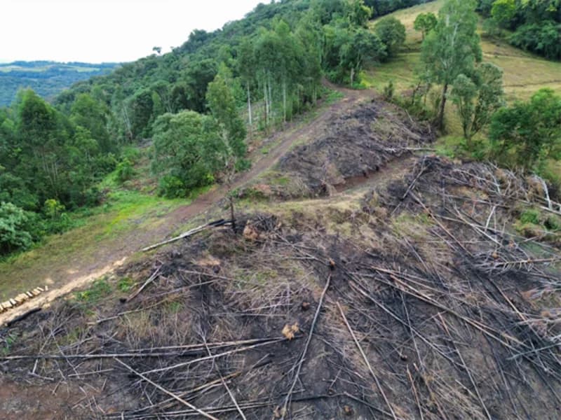 Foto 19 de 26: Terreno em leilão em Jaborá - SC — Terreno - Jaborá - SC