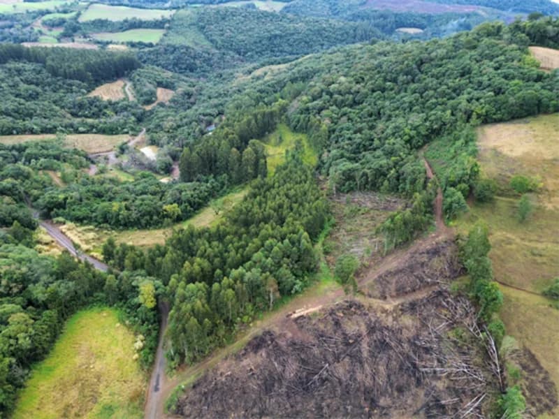 Foto 21 de 26: Terreno em leilão em Jaborá - SC — Terreno - Jaborá - SC