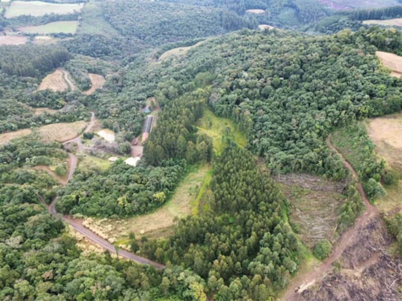 Foto 20 de 26: Terreno em leilão em Jaborá - SC — Terreno - Jaborá - SC