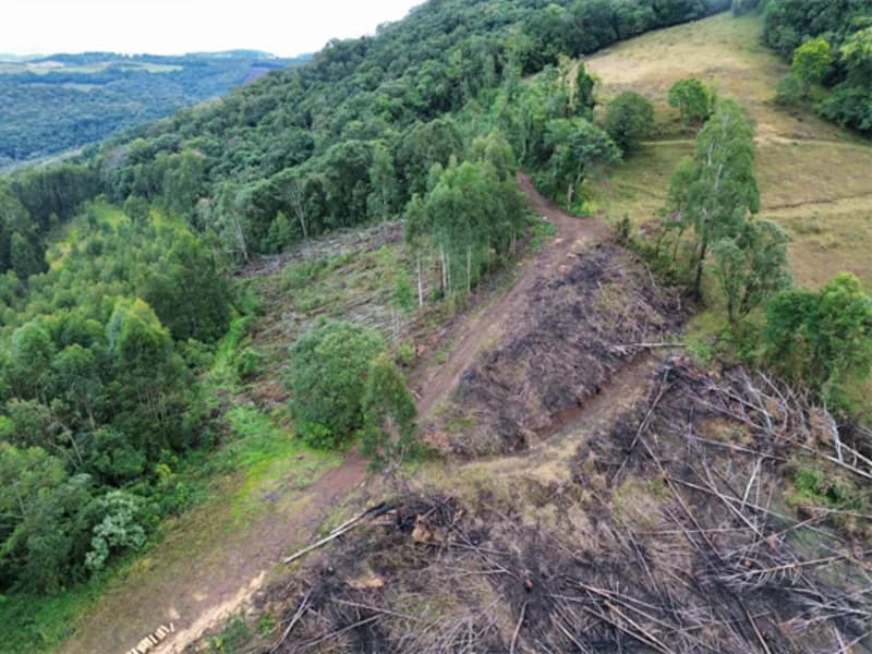 Foto 22 de 26: Terreno em leilão em Jaborá - SC — Terreno - Jaborá - SC