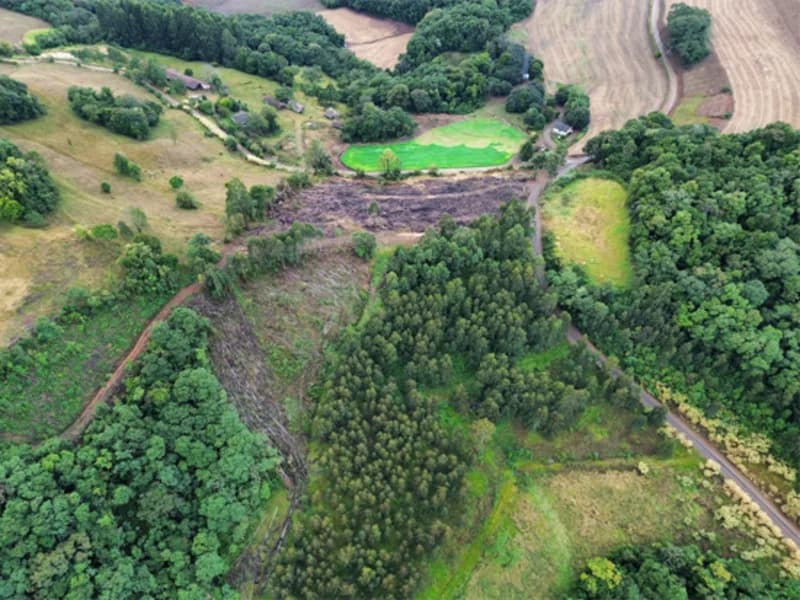 Foto 25 de 26: Terreno em leilão em Jaborá - SC — Terreno - Jaborá - SC