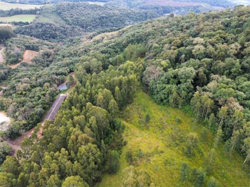 Foto 23 de 26: Terreno em leilão em Jaborá - SC — Terreno - Jaborá - SC