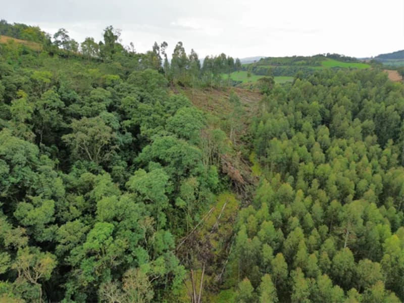 Foto 26 de 26: Terreno em leilão em Jaborá - SC — Terreno - Jaborá - SC