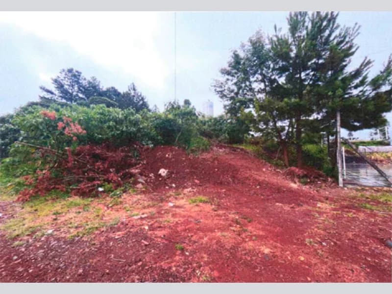 Foto 4 de 5: Terreno em leilão em Erval Grande - RS — Terreno - Erval Grande - RS