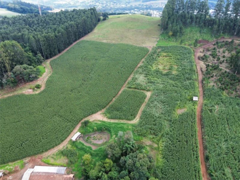 Foto 1 de 11: Terreno em leilão em Jaborá - SC — Terreno - Jaborá - SC