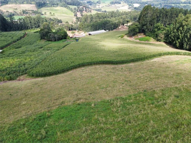 Foto 8 de 11: Terreno em leilão em Jaborá - SC — Terreno - Jaborá - SC
