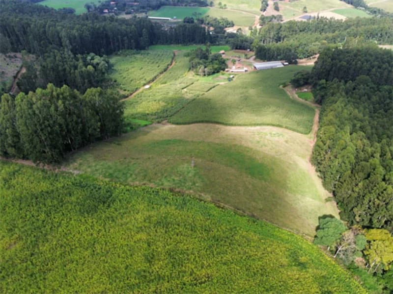 Foto 3 de 11: Terreno em leilão em Jaborá - SC — Terreno - Jaborá - SC