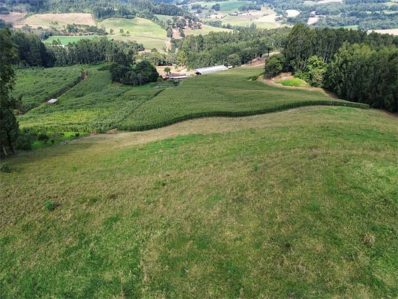 Foto 11 de 11: Terreno em leilão em Jaborá - SC — Terreno - Jaborá - SC
