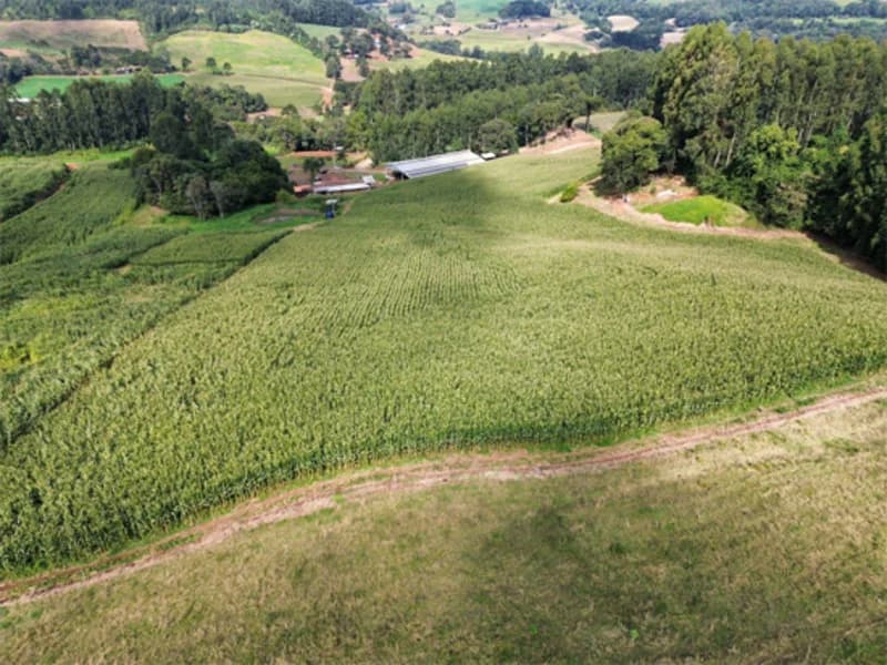 Foto 2 de 11: Terreno em leilão em Jaborá - SC — Terreno - Jaborá - SC