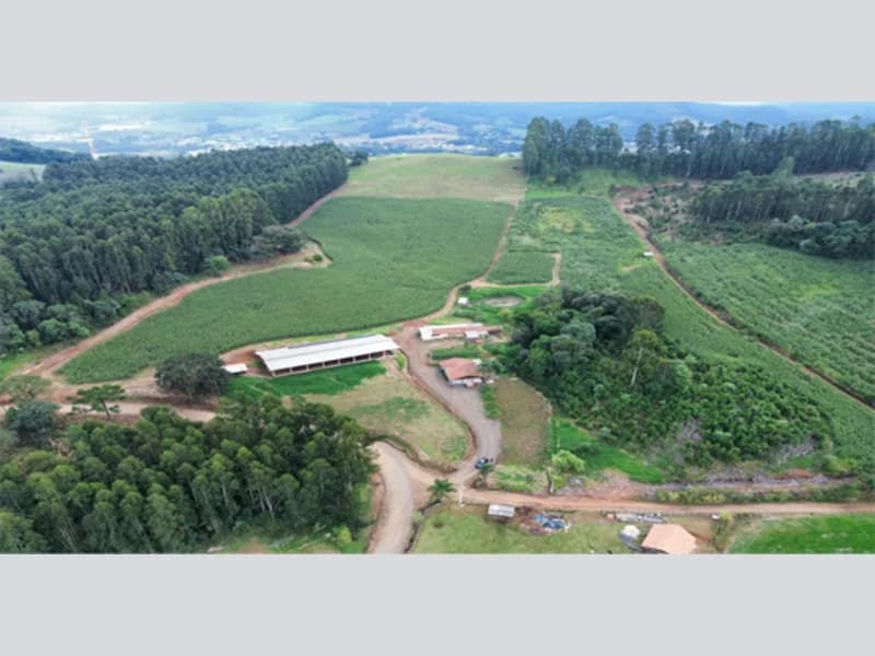 Foto 7 de 11: Terreno em leilão em Jaborá - SC — Terreno - Jaborá - SC