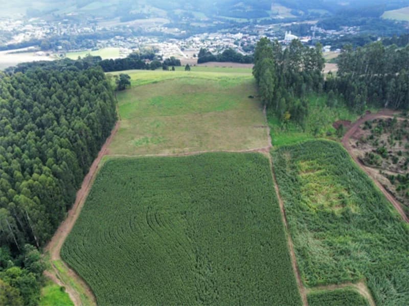 Foto 9 de 11: Terreno em leilão em Jaborá - SC — Terreno - Jaborá - SC