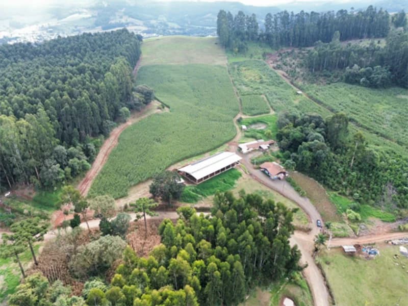 Foto 10 de 11: Terreno em leilão em Jaborá - SC — Terreno - Jaborá - SC