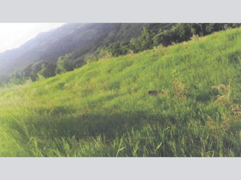Foto 1 de 4: Terreno em leilão em Itá - SC, bairro Vila Gerasul — Terreno - Itá - SC