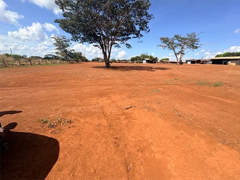 Foto 4 de 8: Terreno em leilão em Itaúba - MT — Terreno - Itaúba - MT