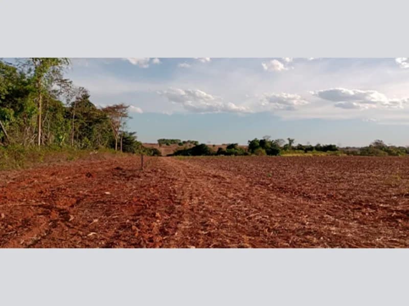 Foto 2 de 4: Terreno em leilão em Nova Guarita - MT — Terreno - Nova Guarita - MT