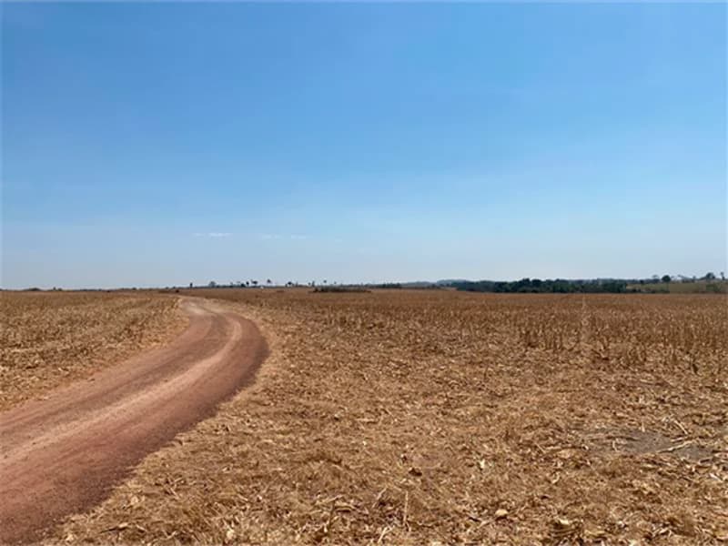 Foto 5 de 8: Terreno em leilão em Nova Guarita - MT — Terreno - Nova Guarita - MT