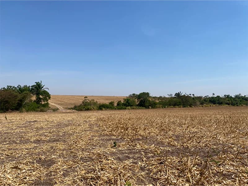 Foto 2 de 8: Terreno em leilão em Nova Guarita - MT — Terreno - Nova Guarita - MT