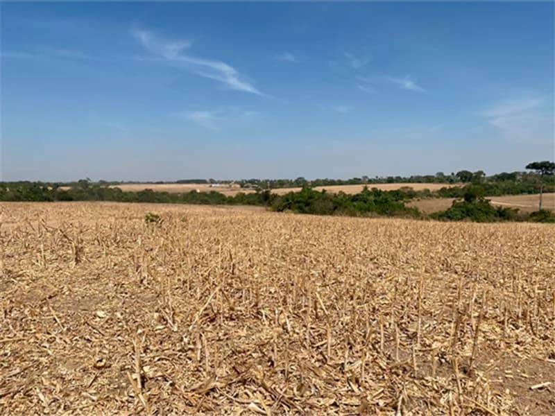 Foto 4 de 8: Terreno em leilão em Nova Guarita - MT — Terreno - Nova Guarita - MT