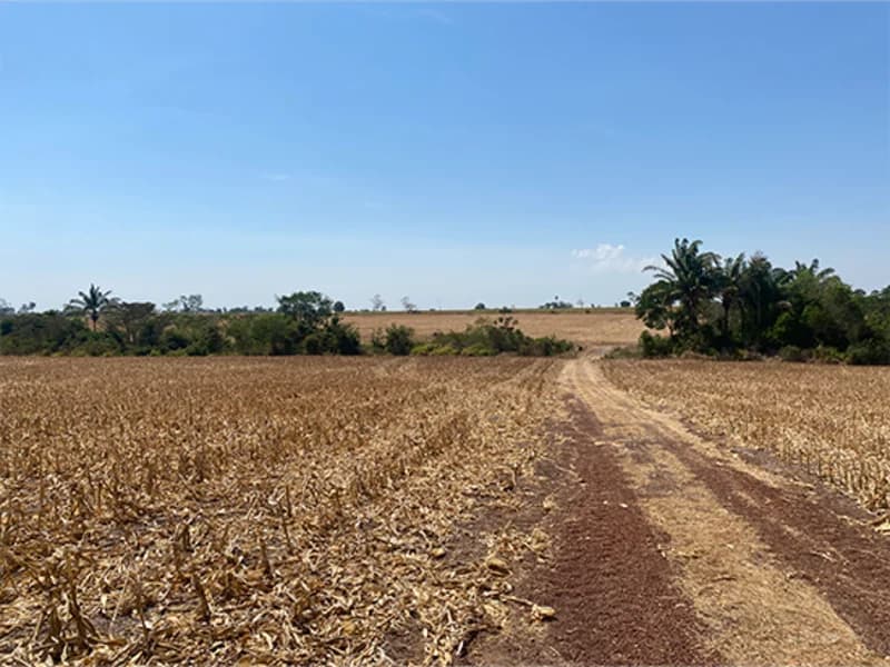 Foto 7 de 8: Terreno em leilão em Nova Guarita - MT — Terreno - Nova Guarita - MT