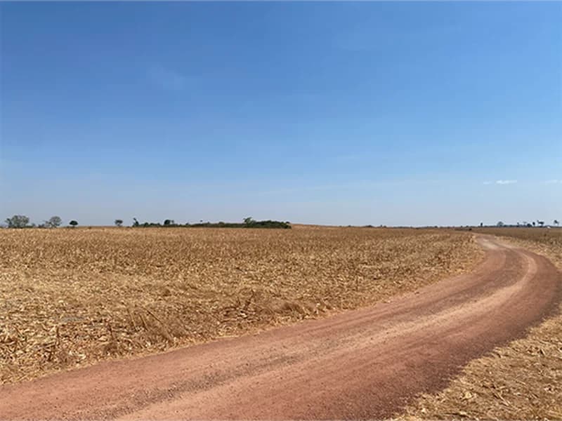 Foto 8 de 8: Terreno em leilão em Nova Guarita - MT — Terreno - Nova Guarita - MT