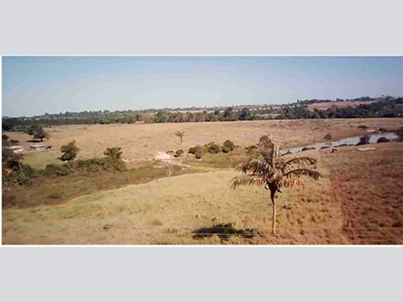 Foto 4 de 10: Terreno em leilão em Paranaíta - MT — Terreno - Paranaíta - MT