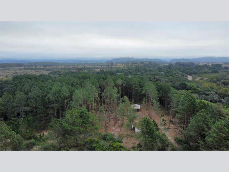Foto 1 de 3: Terreno em leilão em Torres - RS, bairro Balneário Torres Sul — Terreno - Torres - RS