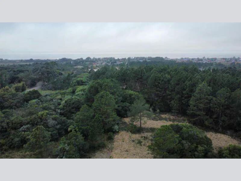 Foto 2 de 3: Terreno em leilão em Torres - RS, bairro Balneário Torres Sul — Terreno - Torres - RS