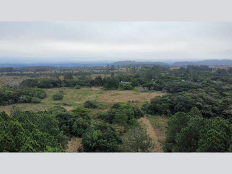 Foto 3 de 3: Terreno em leilão em Torres - RS, bairro Balneário Torres Sul — Terreno - Torres - RS
