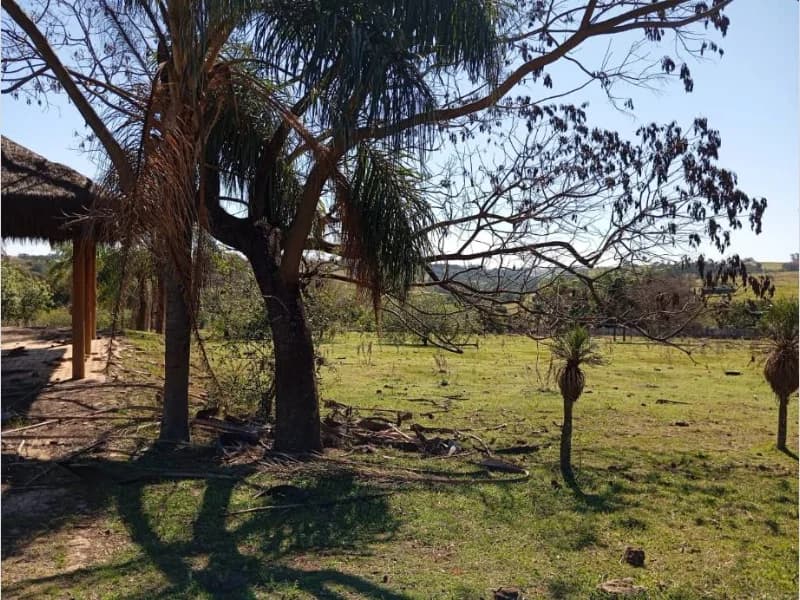 Foto 21 de 35: Terreno em leilão em Pérola - PR — Loteamento - Pérola - PR