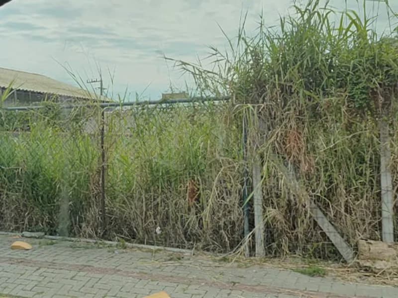 Foto 1 de 3: Terreno em leilão em Igrejinha - RS — Terreno - Igrejinha - RS