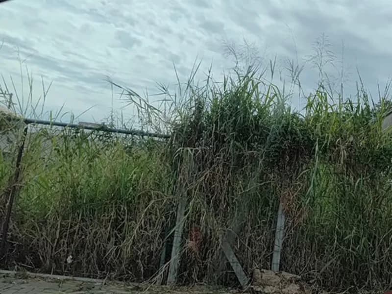 Foto 3 de 3: Terreno em leilão em Igrejinha - RS — Terreno - Igrejinha - RS