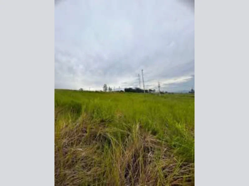 Foto 12 de 12: Terreno em leilão em Araricá - RS, bairro Bela Vista — Terreno - Araricá - RS