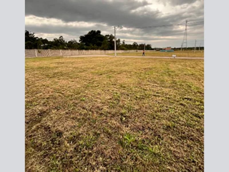 Foto 7 de 9: Terreno em leilão em Osório - RS, bairro Bosque de Albatroz — Terreno - Osório - RS