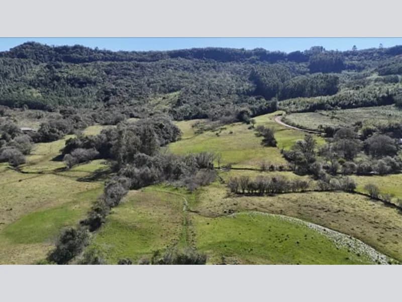 Foto 4 de 11: Terreno em leilão em Sapiranga - RS — Terreno - Sapiranga - RS