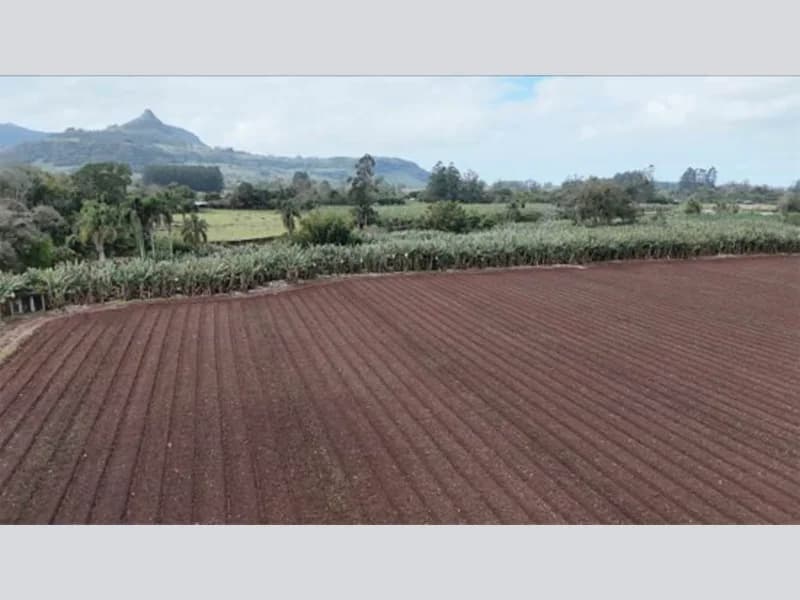 Foto 1 de 16: Terreno em leilão em Osório - RS — Terreno - Osório - RS