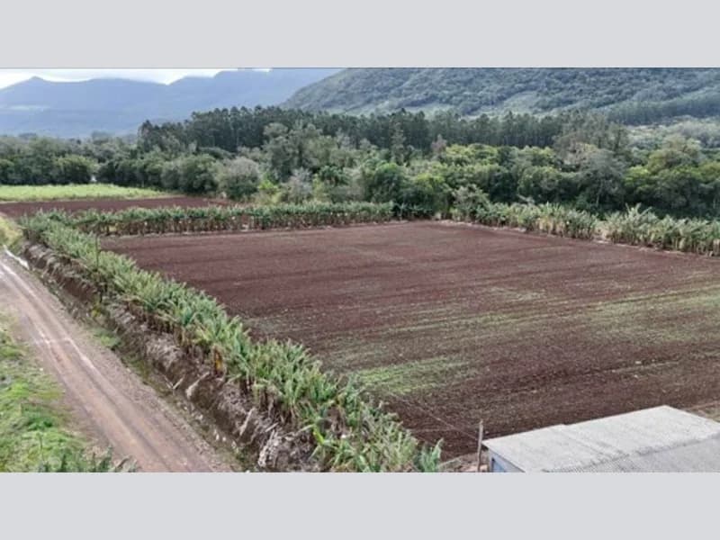 Foto 5 de 16: Terreno em leilão em Osório - RS — Terreno - Osório - RS