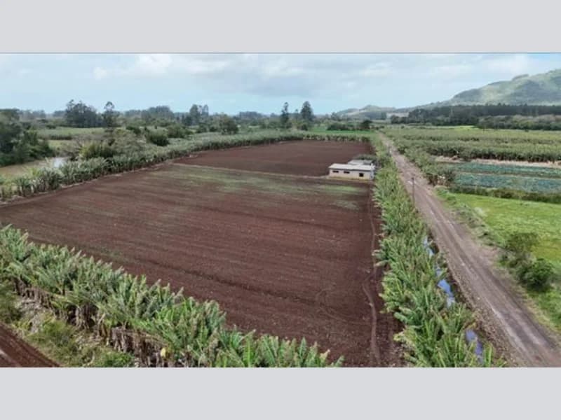 Foto 10 de 16: Terreno em leilão em Osório - RS — Terreno - Osório - RS