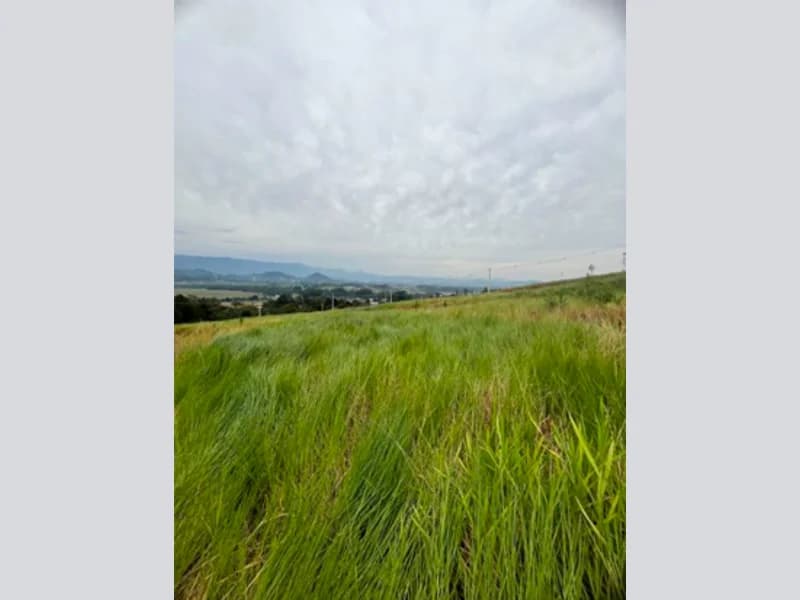 Foto 3 de 12: Terreno em leilão em Araricá - RS, bairro Bela Vista — Terreno - Araricá - RS
