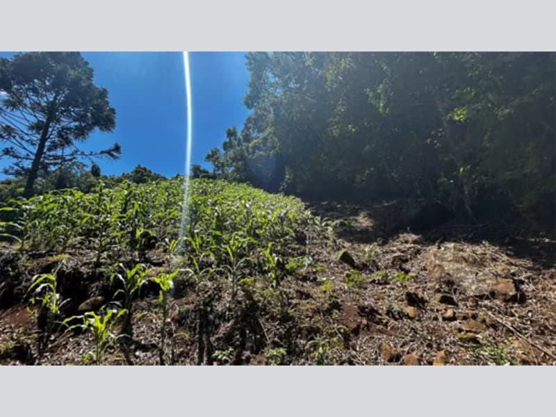 Foto 7 de 20: Terreno em leilão em Riozinho - RS — Terreno - Riozinho - RS