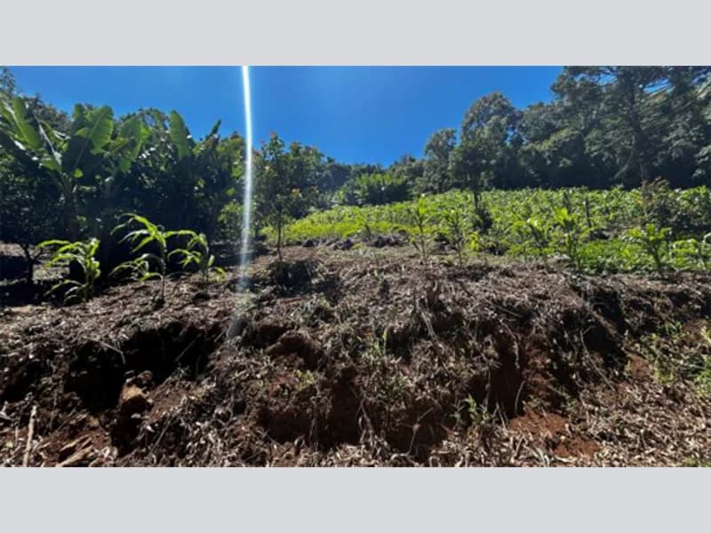 Foto 4 de 20: Terreno em leilão em Riozinho - RS — Terreno - Riozinho - RS