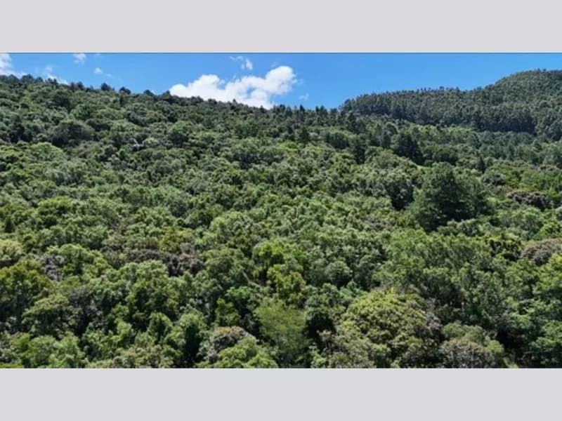 Foto 2 de 20: Terreno em leilão em Riozinho - RS — Terreno - Riozinho - RS