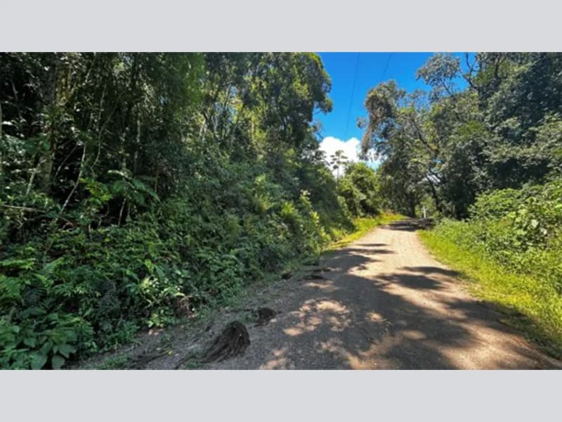 Foto 3 de 20: Terreno em leilão em Riozinho - RS — Terreno - Riozinho - RS