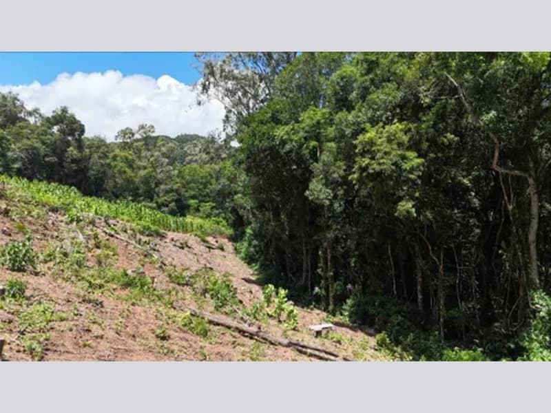 Foto 9 de 20: Terreno em leilão em Riozinho - RS — Terreno - Riozinho - RS