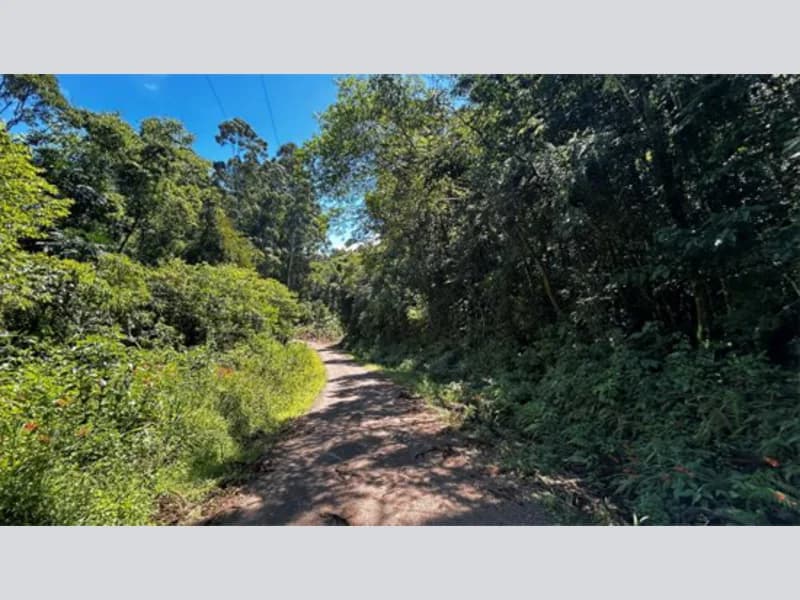 Foto 6 de 20: Terreno em leilão em Riozinho - RS — Terreno - Riozinho - RS