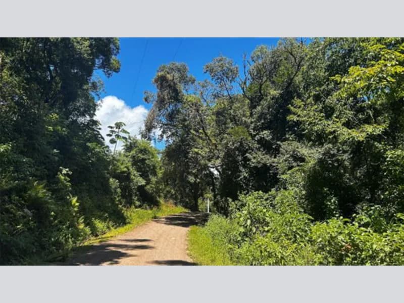 Foto 10 de 20: Terreno em leilão em Riozinho - RS — Terreno - Riozinho - RS