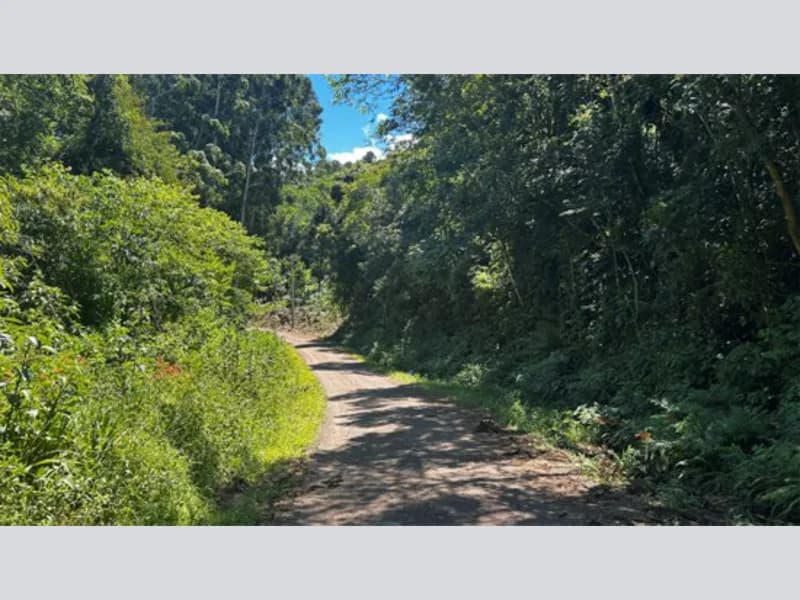 Foto 8 de 20: Terreno em leilão em Riozinho - RS — Terreno - Riozinho - RS