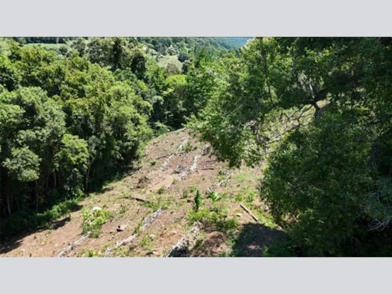 Foto 15 de 20: Terreno em leilão em Riozinho - RS — Terreno - Riozinho - RS