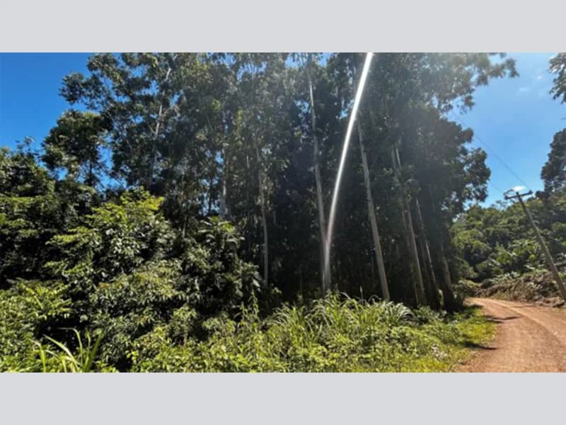 Foto 11 de 20: Terreno em leilão em Riozinho - RS — Terreno - Riozinho - RS