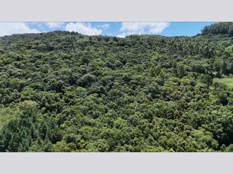 Foto 14 de 20: Terreno em leilão em Riozinho - RS — Terreno - Riozinho - RS